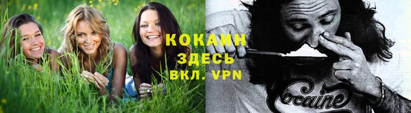 кокаин VHQ Заводоуковск