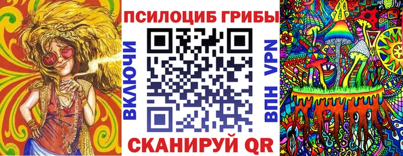 Купить  Сертолово  Галлюциногенные грибы Psilocybe 